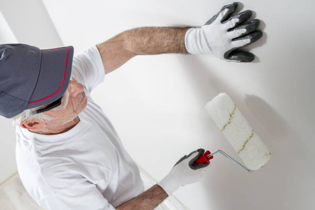 Best Water-Damaged Drywall Repair  in Carrizo Springs, TX