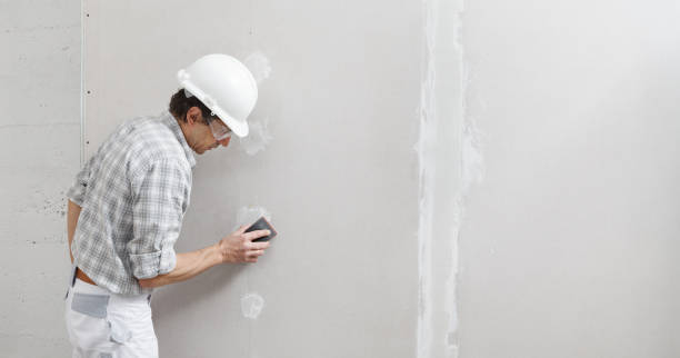 Professional Dry wall and painting in Carrizo Springs, TX